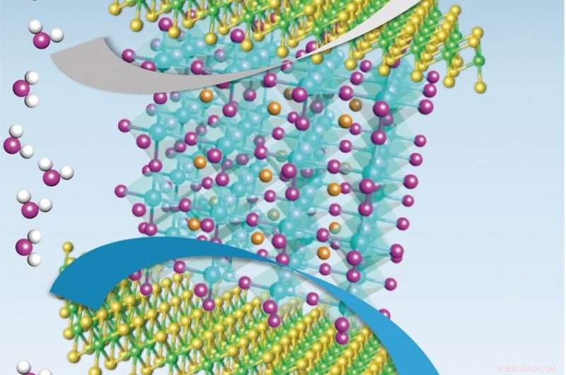 Robust MoSe₂/LSC Catalyst for Durable, Efficient Hydrogen and Oxygen Production