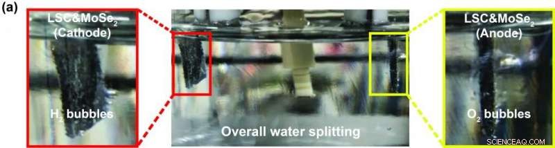Robust MoSe₂/LSC Catalyst for Durable, Efficient Hydrogen and Oxygen Production