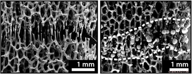 New Bone‑Inspired Metal Foam Self‑Heals at Room Temperature
