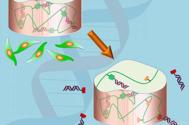 Advanced Gel Technology Enhances Drug Delivery Efficiency