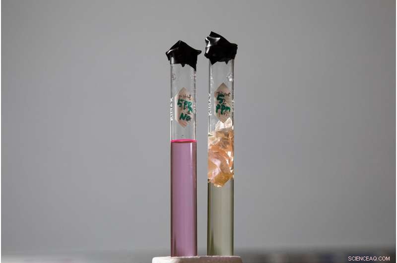 Innovative Nanofiber Webs Enable Safe, Cost-Effective Removal of Toxic Dyes from Wastewater