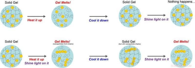 Pavlov-Inspired Conditioning Lets Materials Melt Without Heat
