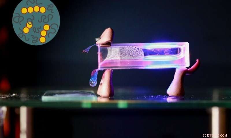 Pavlov-Inspired Conditioning Lets Materials Melt Without Heat