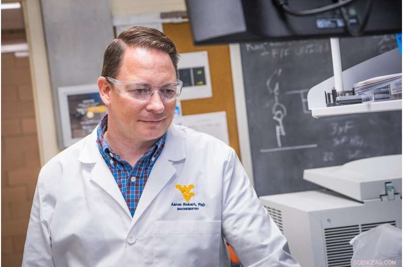 Hot Spring Bacteria Reveal New Insights into Human RNA Splicing