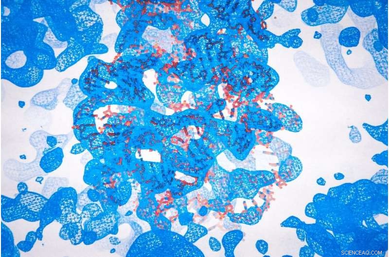 Hot Spring Bacteria Reveal New Insights into Human RNA Splicing