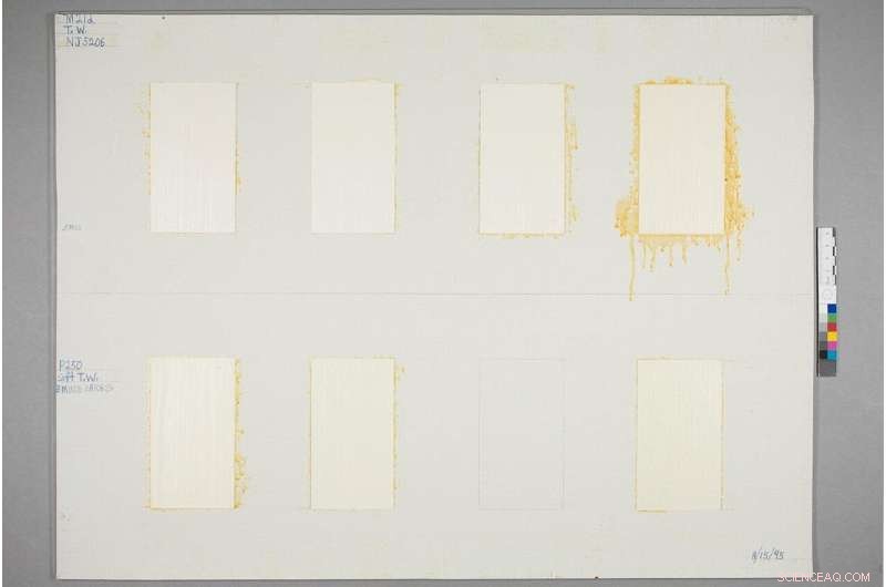 Microscopic Study of Aged Paint Sheds Light on Preservation Techniques