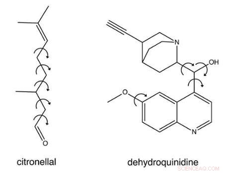 Revolutionizing Chirality Analysis: A Novel Algorithm Elevates Handedness Determination