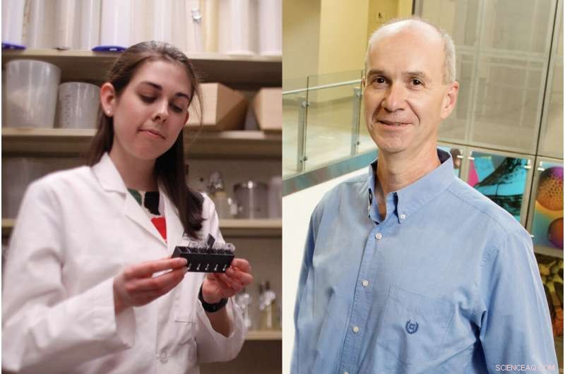 Genome Mining Uncovers New Biosynthetic Pathway for Next‑Generation Malaria Therapy