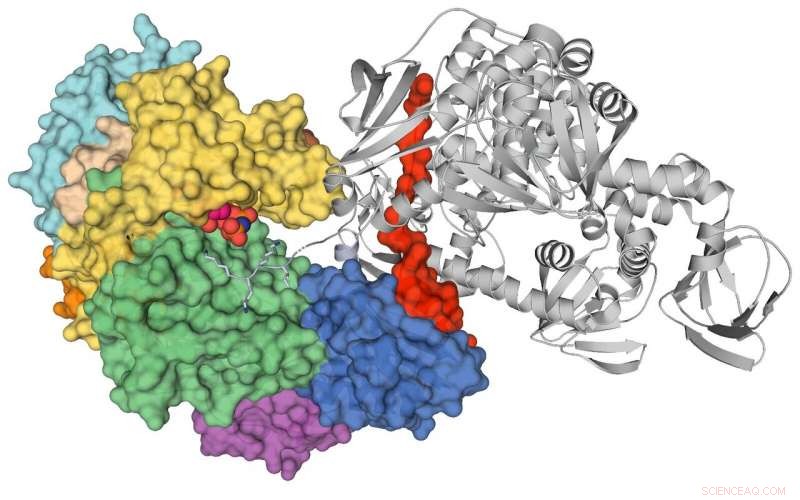 Revolutionizing Malaria Treatment: Next-Gen Antimalarial Drugs