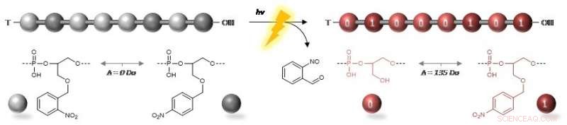Uncovering Hidden Messages in Light-Responsive Polymers