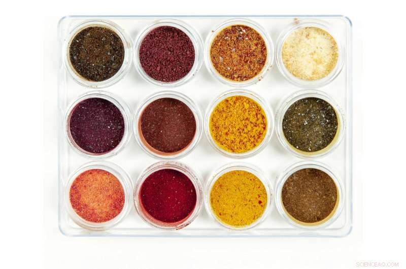 Imperial Student Innovates Eco‑Friendly Pigments from Plant Waste