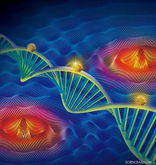 Breakthrough Interferometric Microscopy Enhances Single‑Molecule Localization Precision