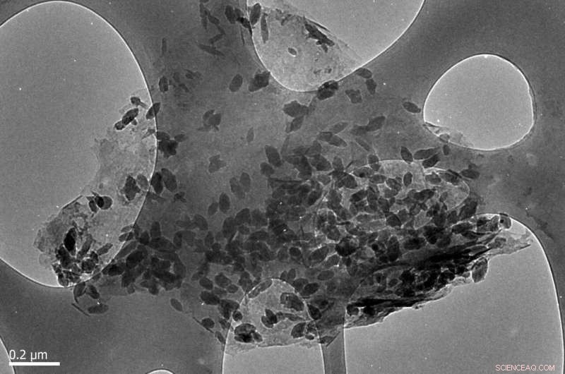 How a Simple Salt Boosts MXene Supermaterials, Enhancing Their Resistance to Oxidation