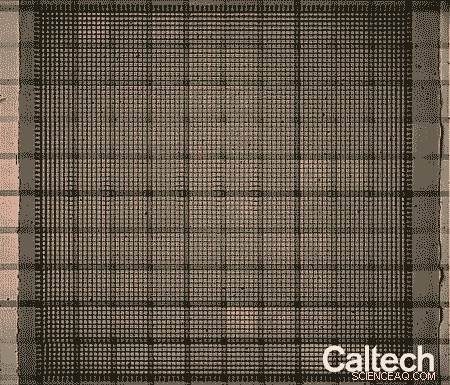 Innovative Metamaterial Adapts Shape to Unlock New Properties