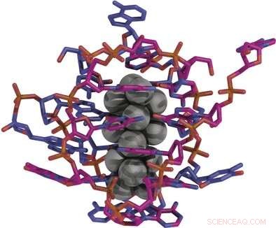 Crystal Structure of DNA-Stabilized Silver Nanoclusters: Insights into Their Optical Properties and Biomedical Potential
