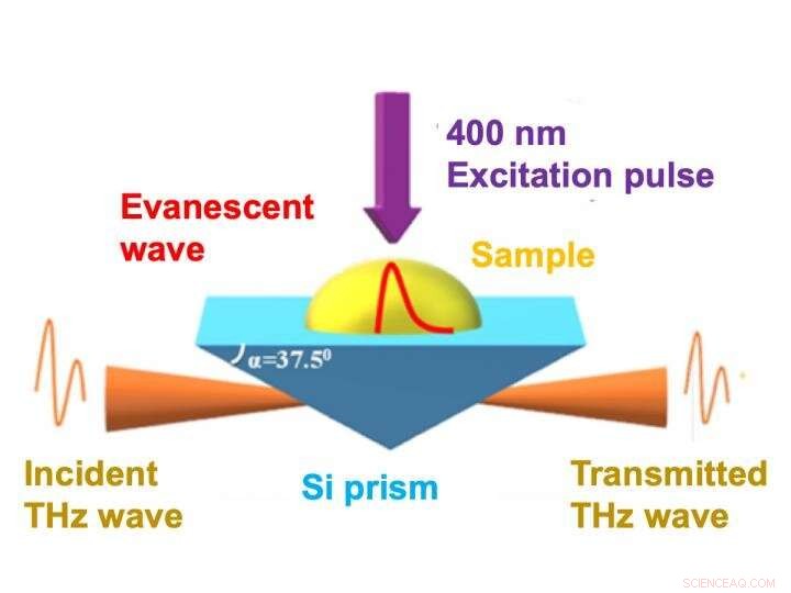 Terahertz Spectroscopy Uncovers Rapid Charge Dynamics in Artificial Photosynthesis