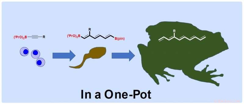 Tokyo University Breaks Ground with New Chemical Reaction for Faster, Cost‑Effective Drug Production