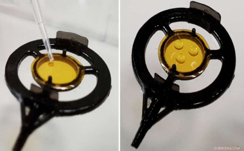 Introducing a New Sample Holder to Enhance Protein Crystallography Accuracy