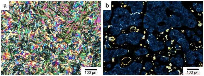 Scientists Harness Light to Direct Ultra‑Fast Chemical Reactions