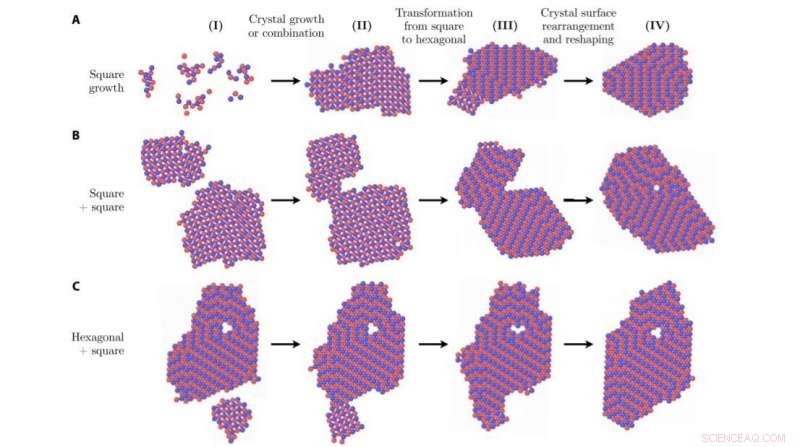 Researchers Reveal Thermodynamic Control of Polymorph Selection in Crystal Growth