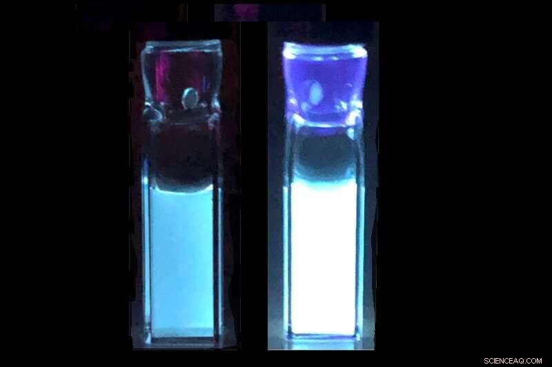 Scientists Create Ultra‑Sensitive Gas Detector Inspired by Cellular Signals