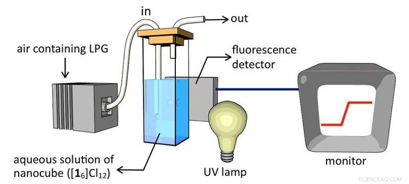 Scientists Create Ultra‑Sensitive Gas Detector Inspired by Cellular Signals