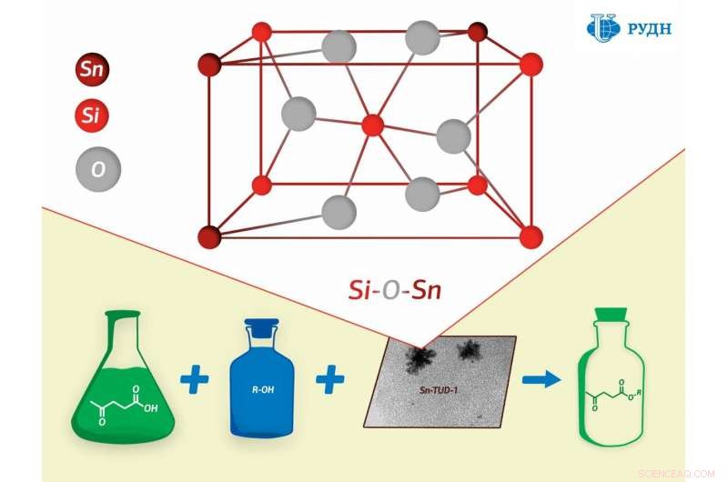 Reversible Tin Silicate Catalyst Enhances Ester Synthesis for Flavor, Plasticizers, and Biofuels