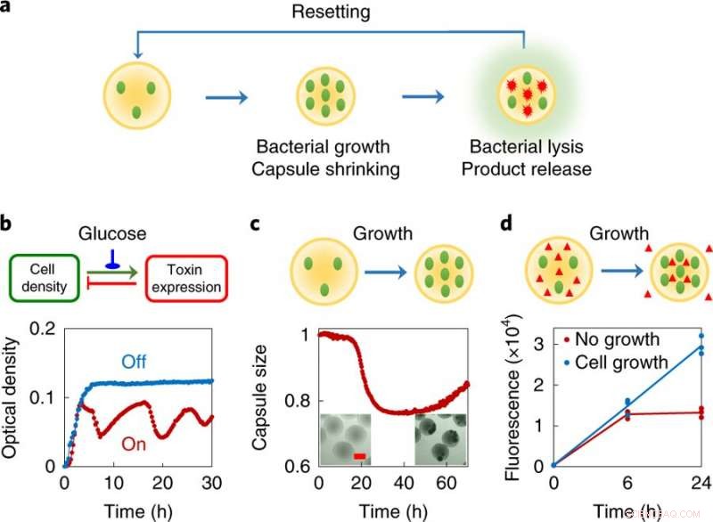 Programmable Swarmbots Revolutionize Flexible Biological Tool Development