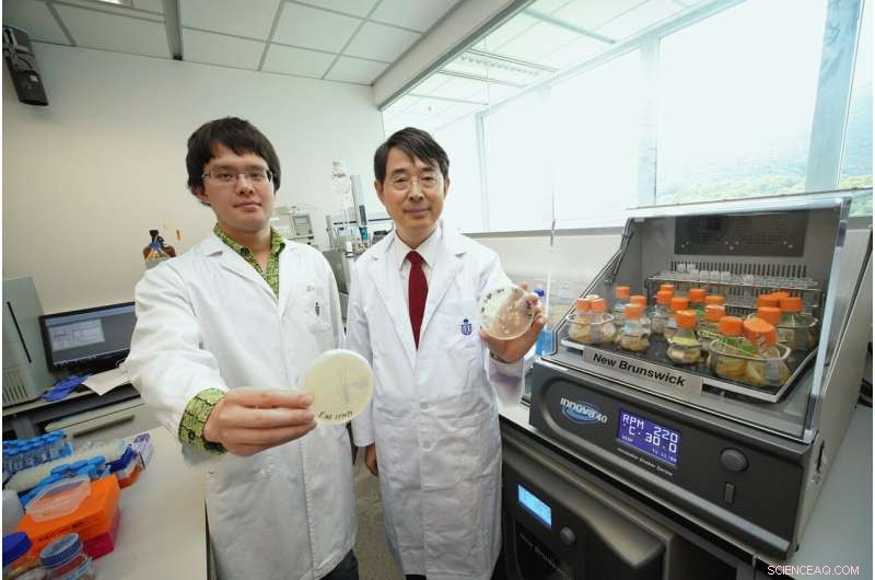 HKU Team Deciphers How E. coli Toxin Drives Cancer Using Synthetic Biology