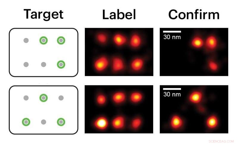 Super‑Resolution Painting: Visualizing DNA Nanostructures at the Molecular Level