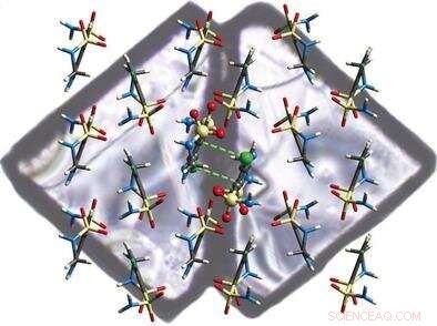 Insights into Butterfly Crystal Formation from a Common Drug