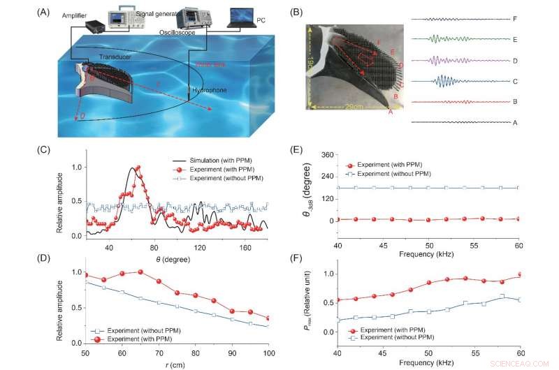 Artificial Materials Recreate Porpoise Echolocation: Pioneering Biosonar Innovation