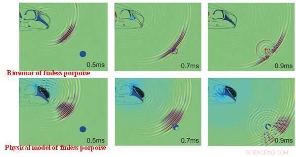 Artificial Materials Recreate Porpoise Echolocation: Pioneering Biosonar Innovation
