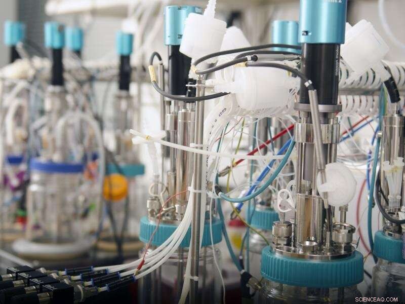 New Algorithms Accelerate Biopharmaceutical Production, Cutting Time and Cost