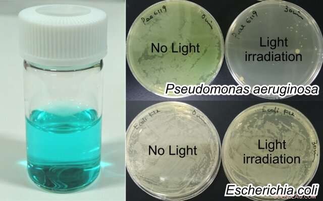 Trojan Horse Strategy Offers New Hope Against Antibiotic-Resistant Bacteria