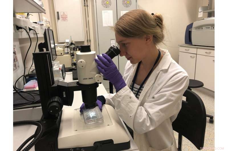 Scientists Discover Instant Protein Messaging Mechanism