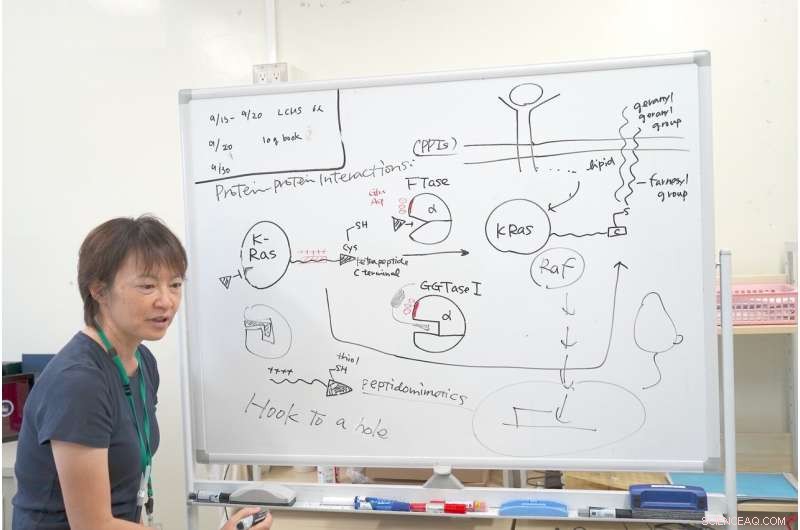 Hook-On Drugs: A Breakthrough Delivery Strategy to Disrupt K-Ras