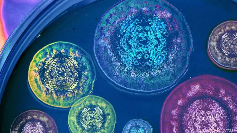 Scientists Unveil Fungal Pathways for Pharma‑Ready Natural Compounds