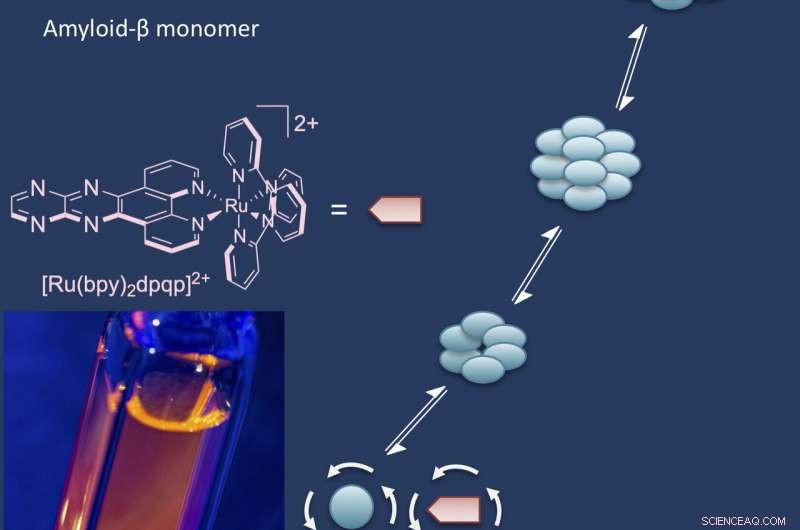 Advanced Probes Reveal Early Amyloid Aggregation in Alzheimer’s Research
