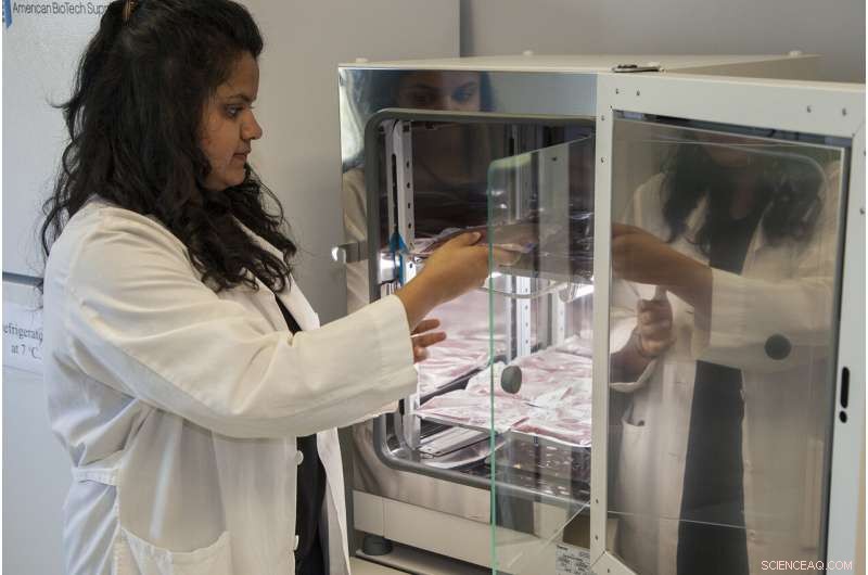 Innovating Space Food: Accelerating Mac & Cheese Production for Mars Missions