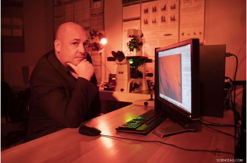 New Research Aims to Extend the Lifespan of Flexible Electronics and Prevent Critical Failures