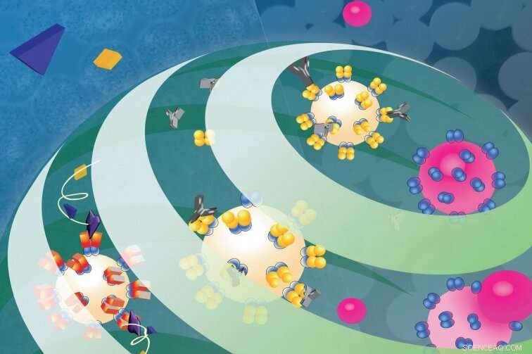 Griffith University Unveils Smart Materials to Tackle Global Challenges