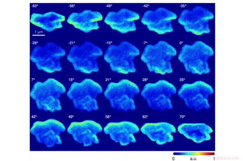 High-Resolution Multimodal X‑Ray & Electron Microscopy of the Allende Meteorite