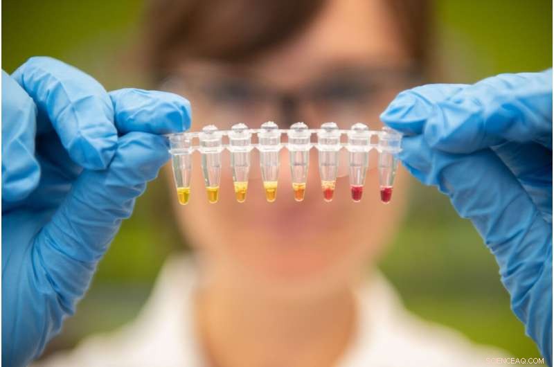 Bacterial-Based Zinc Deficiency Test Provides Rapid, Blood-Free Diagnosis