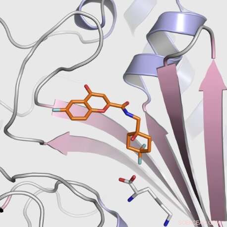 Macromolecular Crystallography Uncovers a Novel Target for Malaria Treatment