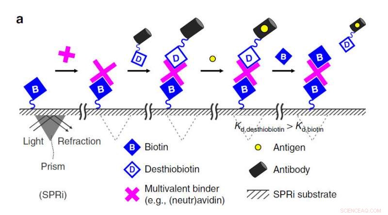 Reconfigurable Biomolecule Platform for Cell Behavior Control