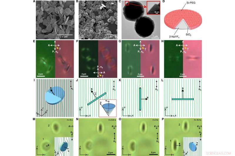 Electrostatic Control of Surface Boundaries in Nematic Liquid Crystals and Colloids