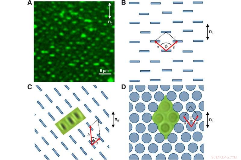 Electrostatic Control of Surface Boundaries in Nematic Liquid Crystals and Colloids