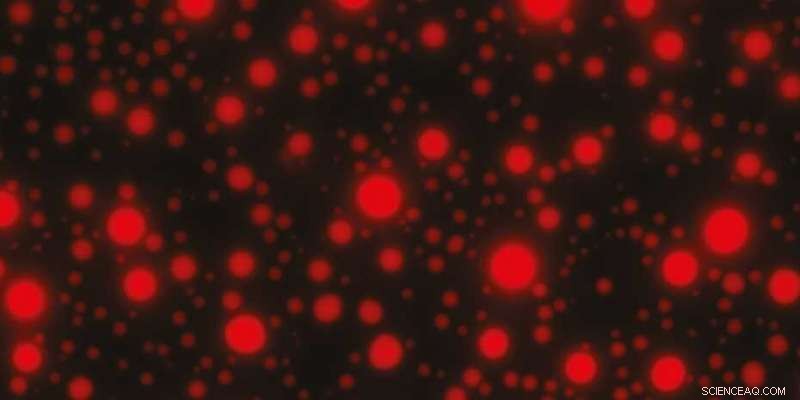 Healthy Organelles, Healthy Cells: Unveiling the Role of Membraneless Organelles in Cellular Health