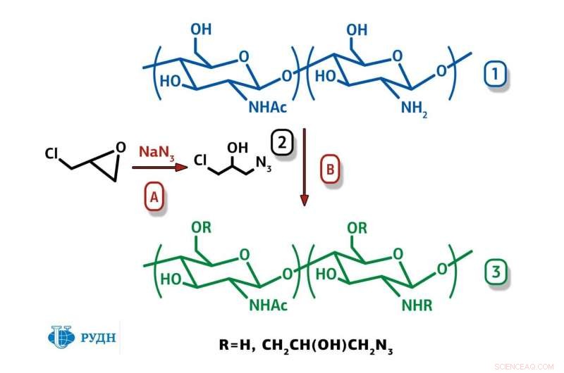 RUDN Chemists Develop Non‑Toxic Chitosan Derivatives with Antibiotic‑Level Antibacterial Food Coatings